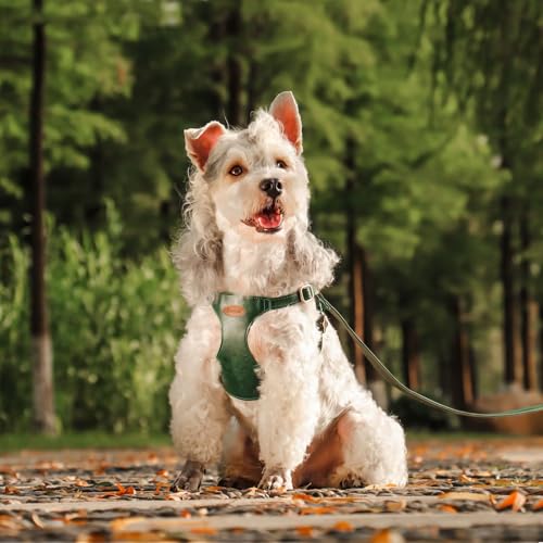 Beirui ‌Stylish PU Leather Dog Harness‌ and Leash Set for Small Dogs, ‌Adjustable Step in Dog Vest Harness with Breathable...