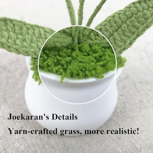 Joekaran Crochet Flowers Cute Small Flower, Self Care Gifts for Women Grandmother,Valentines,Birthday, Christmas Basket Gi...