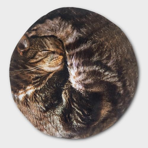 Suck UK | Cat Hot Water Bottle | Hot Water Bottles for Period Pain Relief & Neck Waterbottle | Fluffy Bottle Animal | Cat ...