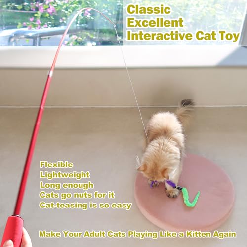 MeoHui Cat Toys for Indoor Cats, Interactive Cat Toy 2PCS Retractable Wand Toy and 9PCS Cat Feather Toys Refills, Funny Ki...