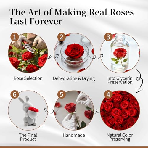 SEEROSE Preserved Rose with Cute Rabbit, Forever Real Rose Last for Years, Romantic Flower Gift for Her, Wife, Girlfriend,...