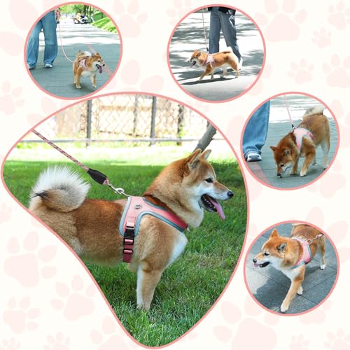 Dog Harness and Leash Set, No Pull Saddle Style Pet Harness, Breathable Mesh Adjustable Reflective Dog Vest for Dogs and C...