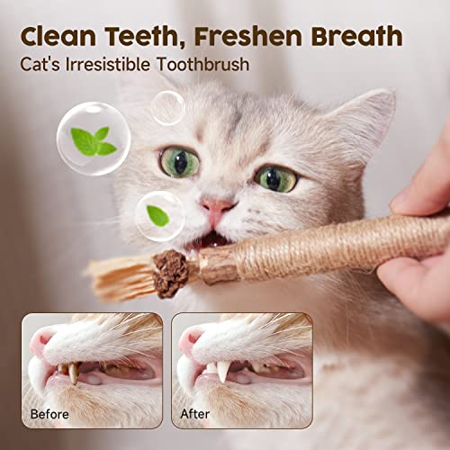 Potaroma 3 Pack Natural Silvervine Sticks Cat Toys, Catmint Silvervine Blend Sticks, Catnip Kittens Chew Toys Teeth Cleani...