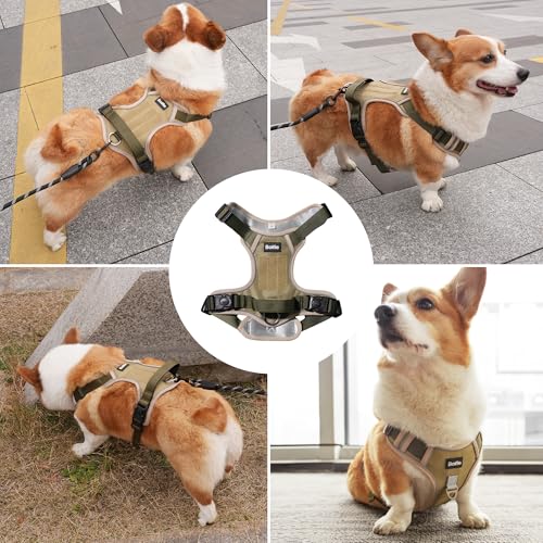 Small Dog Harness, Heavy Duty Tactical No-Pull Reflective Harness & Collar Set — Secure, No Choke, Easy On and Off Pet Ves...