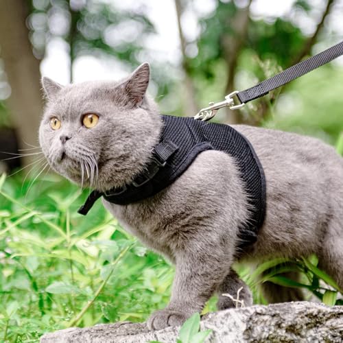 PUPTECK Soft Mesh Cat Vest Harness and Leash Set Puppy Padded Pet Harnesses Escape Proof for Cats Small Dogs Rabbits Bunn...