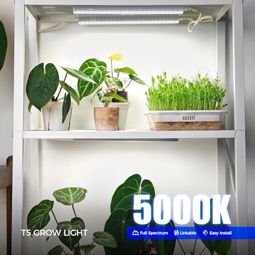 Barrina T5 Grow Lights for Indoor Plants, 5000K Full Spectrum, 1FT LED Growing Lamp, Plant Light Strip, for Seed Starting,...