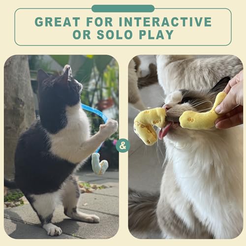 uyiixoxo Interactive Cat Toys Set, Silvervine Chew Sticks and Cat Spring Toy, Indoor Catnip Toys for Exercise and Dental C...