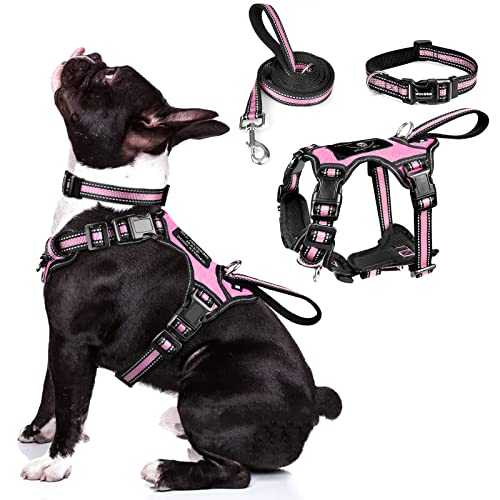 WINSEE Pet Harness Collar and Leash Set, All-in-one Reflective Dog Harness No Pull with Adjustable Buckles for Puppies, Sm...
