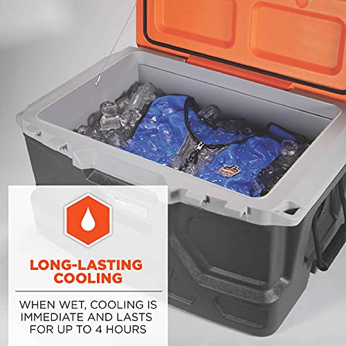 Ergodyne Chill-Its 6667 Cooling Vest, Evaporative PVA Material for Fast Cooling Relief