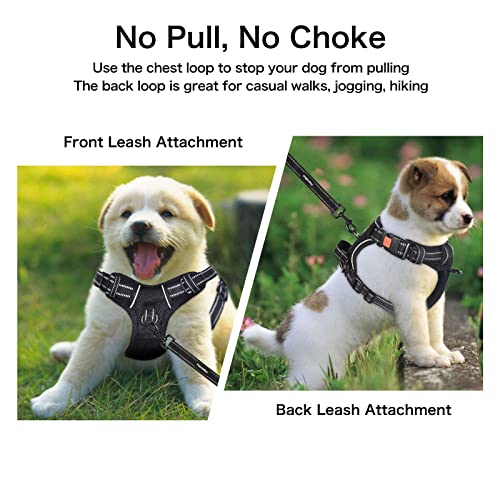 Petmolico No Pull Dog Harness and Leash Set, No Choke 4 Leash Attchments Easy Control Handle Soft Padded Reflective Vest D...