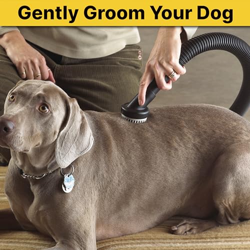 Shop-Vac 9190400 Dog Grooming Tool, 1.25 Inch Diameter, Soft Bristles for Gentle Pet Grooming and Vacuuming, (1-Pack)