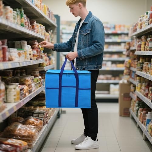 Foraineam 4 Pack Insulated Reusable Grocery Shopping Bags, Foldable Cooler Bag Food Delivery Bags with Hard Bottom Insert ...