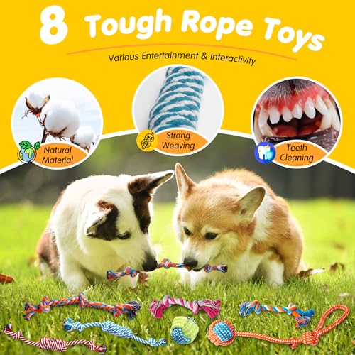 Zeaxuie 25 Pack Luxury Dog Chew Toys for Puppy, Dog Toys with Ropes, Treat Ball and Squeaky Puppy Toys for Teething Small ...