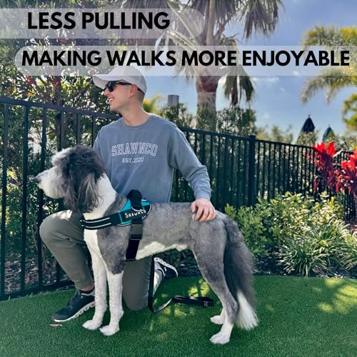 ShawnCo Essential Pro Dog Harness, No-Pull Pet Vest with 3 Leash Clips and Removable, Reflective Side Patches, Adjustable ...