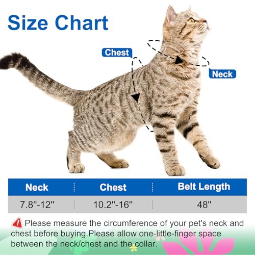 Cat Harness and Leash Set with Matching Collar – Escape Proof Harness for Cats, Adjustable & Lightweight, Tropical Hawaiia...