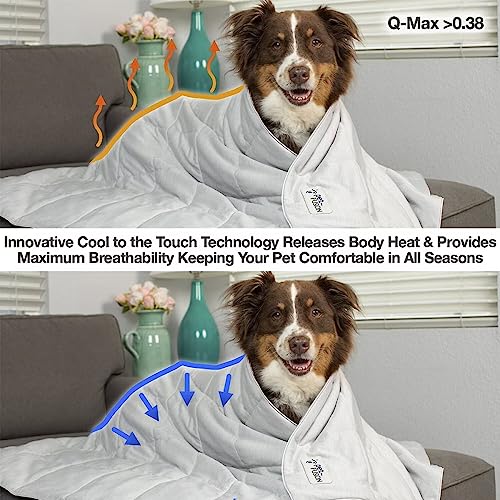 PetFusion Premium Cat and Dog Cooling Blanket. Lightweight Pet Blanket | Machine Washable | Multiple Sizes: for Pets Small...