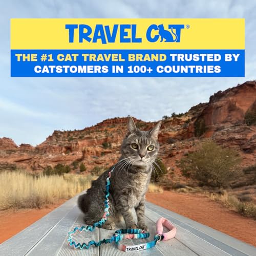 Travel Cat Harness and Bungee Leash Set - 2 in 1 Adjustable Escape Proof Cat Harness & Leash for Small, Medium, Large Cat...