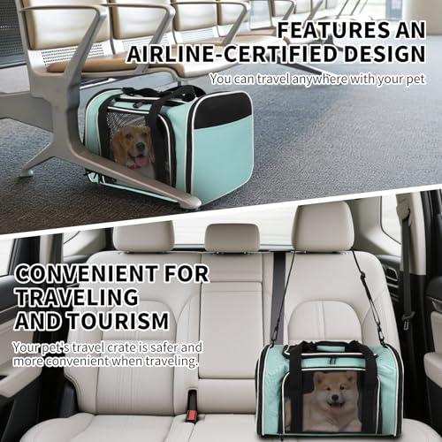 Yipincover, Cat Dog Carriers Soft-Sided, Pet Travel Carrier for Small Cats Dogs Under to15lbs, Soft-Solid Collapsible Carr...