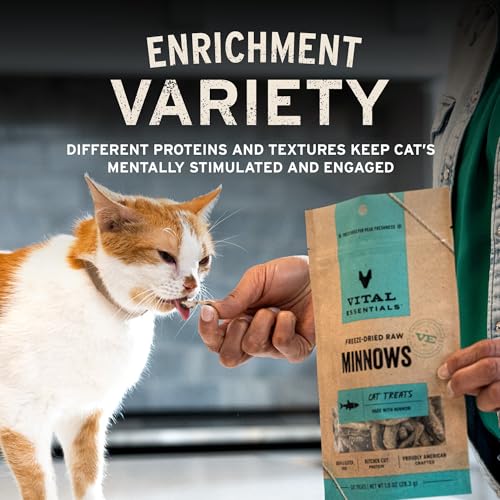Vital Essentials Freeze Dried Minnows Cat Treats | Single Ingredient | Premium Quality | Grain Free, Healthy Treats for Ca...