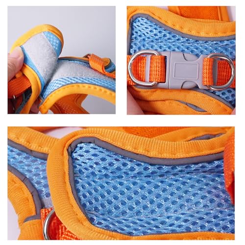 Rabbit Harness and Leash Set Escape Proof, Adjustable Soft Padded Vest, Breathable Mesh Bunny Harness with Reflective Stra...