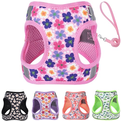 Small Dog Harness and Leash Set, Step in Dog Harness No Pull for Walking Running Training, Puppy Essentials for Dogs Cat B...