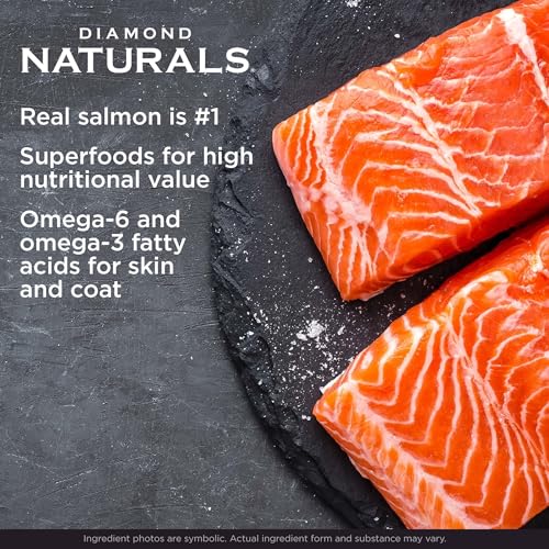 Diamond Naturals Skin & Coat Real Salmon and Potato Recipe Dry Dog Food with Protein, Superfoods, Probiotics and Essential...