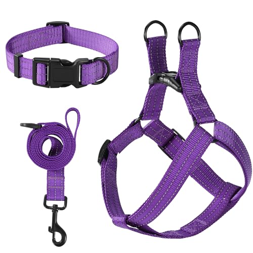 Mile High Life Night Reflective Double Adjustable Band Nylon Small Puppy Pet Dog Combo Collar Leash and Harness Set (Refle...