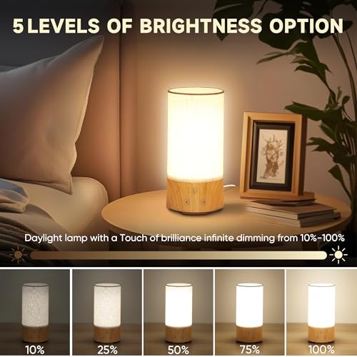Caromolly Light Therapy Lamp, Happy Lamp 10,000 LUX UV Free with 3 Color Temperature & 5 Brightness Level, Full Spectrum L...
