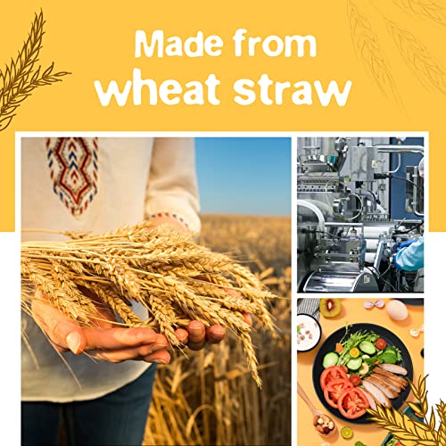 Teivio 32-Piece Kitchen Plastic Wheat Straw Dinnerware Set, Service for 8, Unbreakable Modern Dish Set - Dinner Plate/Dess...