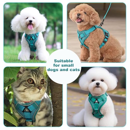 SOLMOONY Small Dog Harness,Soft Mesh Puppy Harness and Leash Set,No Escape Cat Harnesses for Training Walking,Reflective A...