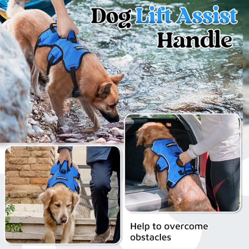 rabbitgoo Escape Proof Dog Harness, Soft Padded Full Body Pet Harness, Reflective Adjustable No Pull Vest with Lift Handle...