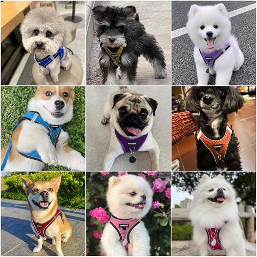 Dog Harness and Leash Set, Dog Harness for Dogs No Pull, No-Chock Step-in Reflective Breathable Lightweight Easy Walk Vest...