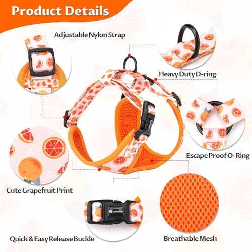 Dog Cat Harness and Leash Set, Puppia Soft Mesh Padded and Adjustable Puppy Vest Cute Dog Clothes Escape Proof Easy Walk P...