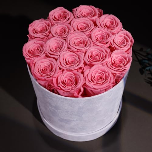 Prifroti 17 Flowers in a Luxury Suede Box, Birthday Gifts for Women, Preserved Flowers, Mothers Day Roses Gift for Mom, Li...