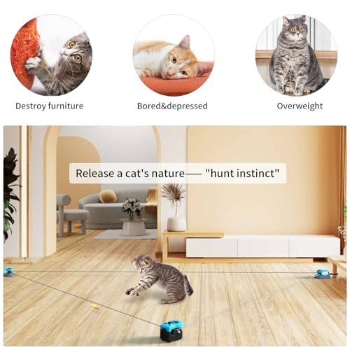 AsFrost Upgraded Interactive Cat Toy for Indoor Cats, Auto/Manual Control DIY Cat Feather Mouse Toy Treadmill for Bored Ki...