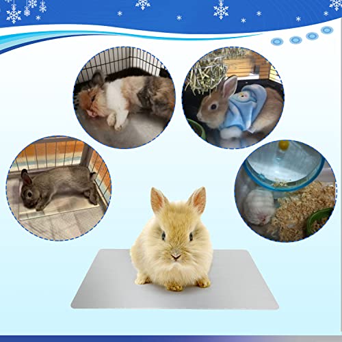 FIPASEN 11.8x7.9 IN Pet Cooling Mat for Rabbit, Bunny, Hamster, Guinea Pig & Other Small Pets - Bite Resistance Ice Bed (2...