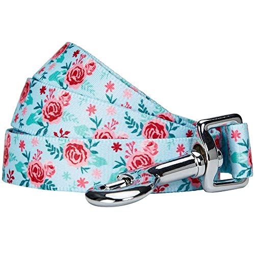 Blueberry Pet Essentials Spring Scent Inspired Garden Floral Dog Leash in Pastel Blue, 5 ft x 3/4", Medium, Leashes for Dogs