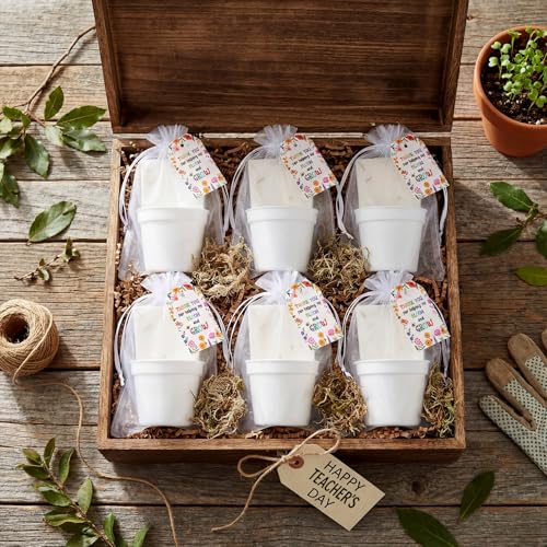 Newtay 25 Sets Teacher Appreciation Gifts - Thank You for Helping Me Bloom & Grow Wildflower Gift Set, Mini Flower Pots wi...