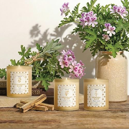 Serebliss Candle Set - 3 Pack Soy Wax Aromatherapy Scented Candles for Energy Cleansing, Manifestation, Palo Santo, Sage, ...