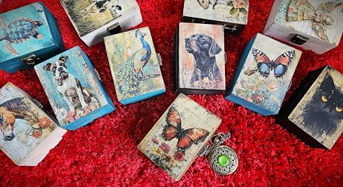 RK Collections Butterfly Trinket Box Small Jewelry Keepsake Box | Storage Box for Girls Women | Gift Idea, Animal Lover Or...