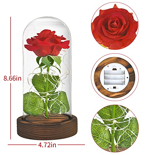 SW Preserved Rose Enchanted Rose Red Silk Rose in Glass Dome with LED Lights Pine Base, Romantic Home Decor Gifts for Mom ...