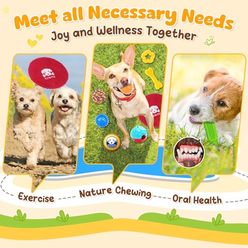 KIPRITII 25 Pack Various Dog Toys Set – Ideal for Teething, Entertainment & Interactive Play, Includes Puppy Toys, Rope To...