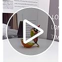 JWT Astyle Elegant Cardinal Bird Jewelry Trinket Boxes Hinged .Keepsake Ring Box Necklace Earrings Organizer.Cardinals Gif...