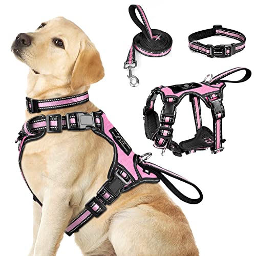 WINSEE Pet Harness Collar and Leash Set, All-in-one Reflective Dog Harness No Pull with Adjustable Buckles for Puppies, Sm...
