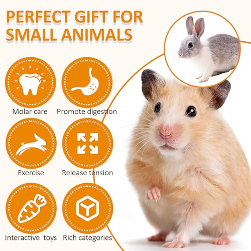 VESPRO Hamster Toys Set, Guinea Pig Toys Small Animal Chewing Toy and Rat Cage Accessories, Chinchillas, Gerbils, Rats, Ra...