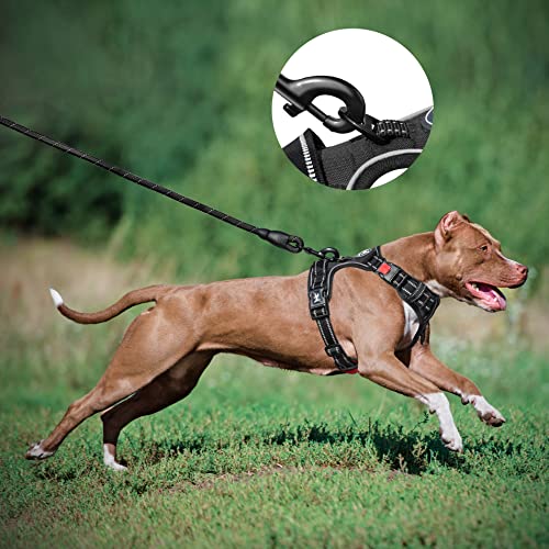 PoyPet Dog Harness and Leash Combo, Escape Proof No Pull Vest Harness, with 5 Feet Leash, Reflective Adjustable Soft Padde...