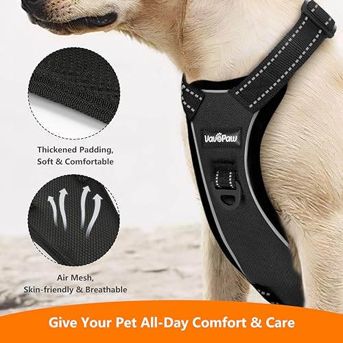 VavoPaw Dog Seat Belt Harness for Car, Dog Car Harness Adjustable Mesh Breathable & Dogs Seatbelt Safety Tether with Elast...