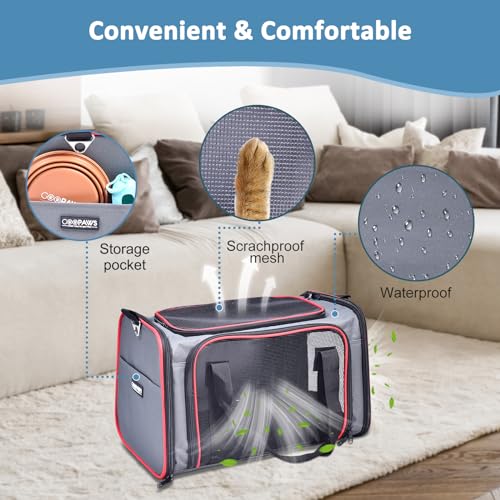 GOOPAWS Soft-Sided Kennel Pet Carrier for Small Dogs, Cats, Puppy, Airline Approved Cat Carriers Dog Carrier Collapsible, ...