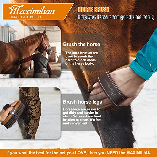 MAXIMILIAN World Class Handmade Equine Stiff Body Horse Brush. Professional Equine Grooming Tools. Effortlessly Removes Mu...