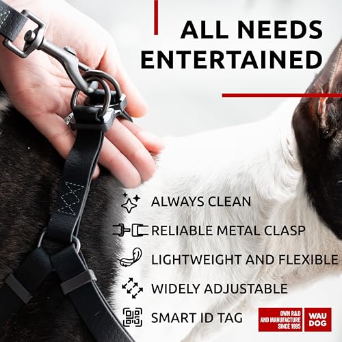 WAUDOG Waterproof Dog Harness and Leash 6 Ft Set - Adjustable, Heavy Duty with Durable Metal Clasp and QR Dog Tag